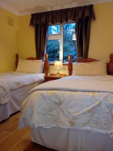 two beds in a bedroom with a window at Corrib View Guesthouse h91rr72 in Galway