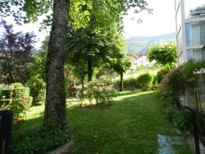 un patio con un árbol y un edificio en Albergo Ristorante Villa Svizzera, en Vidiciatico