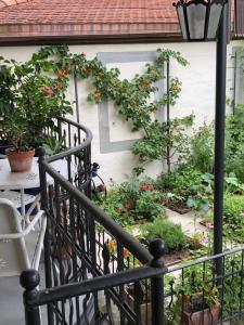 Zahrada ubytování Good4Yew BnB