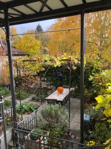Zahrada ubytování Good4Yew BnB