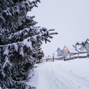 Home Belić Golija v zimě