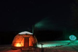 an illuminated iguana tent at night with a green light at Wild Caribou Dome in Lakselv