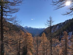 木屋周边自然景观