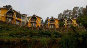 Une rangée de maisons jaunes sur une colline dans l'établissement The Naturewalk, à Mukteswar