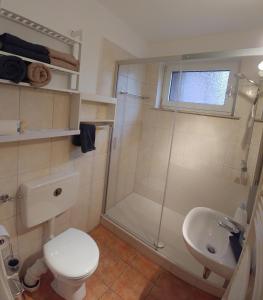 a bathroom with a shower and a toilet and a sink at Haus Spengler in Celle