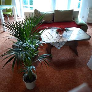 a living room with a couch and two potted plants at Zimmer und Apartment Rosi in Krakow am See