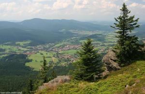 a view of a valley with trees on a hill at Ferienwohnung Stilla Traurig in Arrach +16 photos
