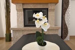 Fotografia z galérie ubytovania Luxury Stone Villa Zanelli v destinácii Ližnjan
