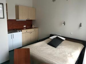 Kuchyň nebo kuchyňský kout v ubytování Hommiku Guesthouse