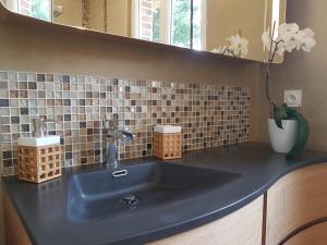 a bathroom with a blue sink and a mirror at Les Bruyeres in Sotteville-lès-Rouen +33 photos
