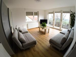 TV a/nebo společenská místnost v ubytování Apartments Andrej - Poetovio & Ptuj