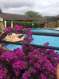 een zwembad met paarse bloemen ervoor bij Winterville Gravata in Gravatá