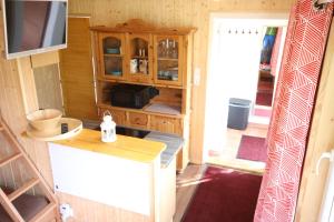 een tiny house met een keuken en een tv bij Ferienhaus Apfelstädt in Tambach-Dietharz