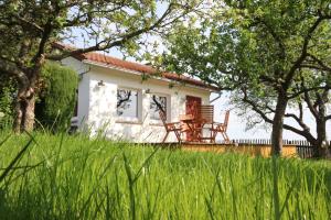 een huisje met een tafel en stoelen in het gras bij Ferienhaus Apfelstädt in Tambach-Dietharz