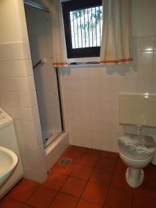 a bathroom with a toilet and a sink and a window at Ferienhaus Ammermann in Lissendorf +10 photos