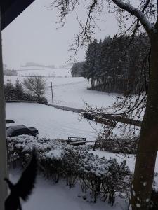 Lissendorf的住宿－Ferienhaus Ammermann，雪覆盖的院子,有车和田野