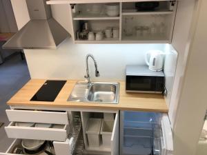 a small kitchen with a sink and a counter at Vila Burbonka in Nova Gorica