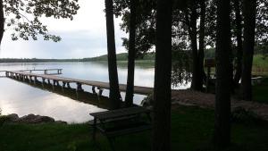 un banco sentado junto a un muelle en un lago en Domki Letniskowe Kobyłocha en Kobyłocha