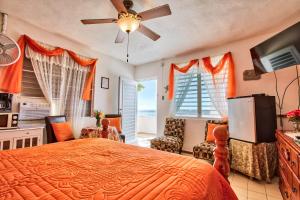 een slaapkamer met een bed, een tv en ramen bij Coconut Palms Inn in Rincon