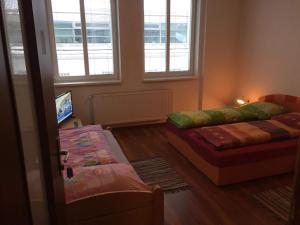 TV a/nebo společenská místnost v ubytování Hostel Fontana