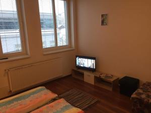 TV a/nebo společenská místnost v ubytování Hostel Fontana
