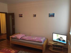 TV a/nebo společenská místnost v ubytování Hostel Fontana