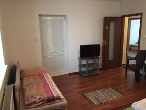 TV a/nebo společenská místnost v ubytování Hostel Fontana