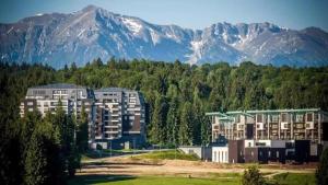 Gallery image of Apartment A36 Silver Mountain in Poiana Brasov