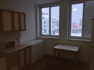 Kuchyň nebo kuchyňský kout v ubytování Hostel Fontana