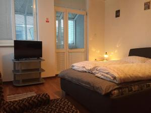 TV a/nebo společenská místnost v ubytování Hostel Fontana