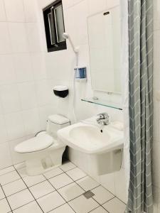 een witte badkamer met een toilet en een wastafel bij 維亞民宿 in Huxi