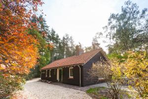 Galería fotográfica de Landgoed Dennenholt - 5 unique holiday homes en Vierhouten