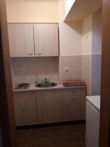 a small kitchen with a sink and a counter at Apartmani Nebrigic in Brzeće