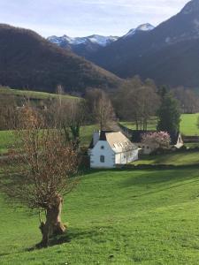 a white house in a field with mountains in the background at Maison et Grange Guilhem in Arthez-dʼAsson