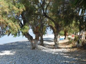 Fotografia z galérie ubytovania Horizon Aktaion v destinácii Kalamata