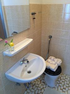 bagno con lavandino e servizi igienici di Pension Berghof a Schönsee