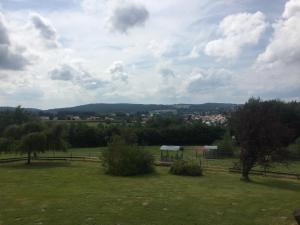 a field with a fence and trees in a field at Pension Berghof in Schönsee