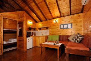 een woonkamer met een bank en een bed in een hut bij Noa'm Bagalil in Peqi‘in H̱adasha