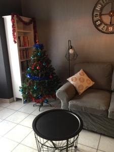 a living room with a christmas tree and a coffee table at Appartement Orion in Colmar