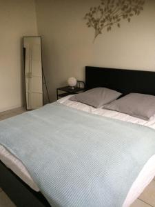 a bedroom with a large white bed and a mirror at Appartement Orion in Colmar