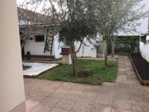 a house with a tree in the yard at Appartement Orion in Colmar