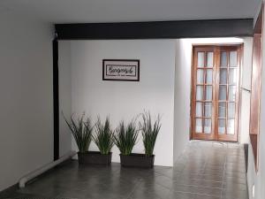 un couloir avec deux plantes en pot à côté d'une porte dans l'établissement Pepper My Love!, à Mexico