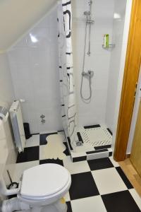 uma casa de banho com um WC e um chuveiro em Apartmani Miščević em Josipdol