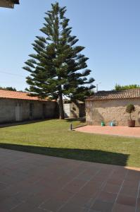 Ogród w obiekcie CASA AUREA DE CACHEIRAS