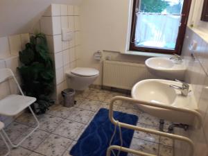 Koupelna v ubytování Landhaus am Fritzschberg