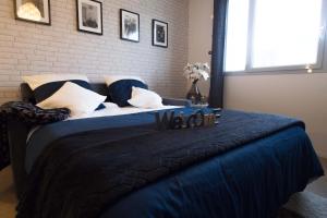 トゥールにあるAppartement LA COUPOLEのベッドルーム1室(青いベッド1台、枕付)、窓が備わります。