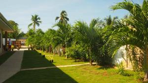 a row of palm trees next to a sidewalk at panglao moravian apartments in Panglao