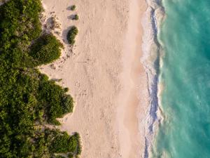an overhead view of a beach with trees and the ocean at Grand Palladium Costa Mujeres Resort & Spa - All Inclusive in Cancún
