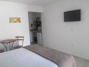 ein Schlafzimmer mit einem Bett und einem TV an der Wand in der Unterkunft Pontal Flats in Paraty