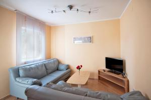 salon z kanapą i telewizorem w obiekcie Apartments Rajic w Poreču